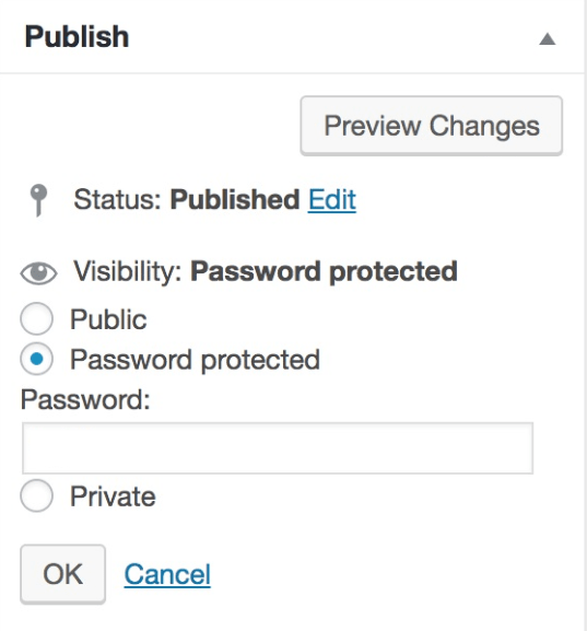 Password Protect Posts