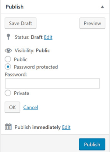 Password Protect Downloads in WordPress